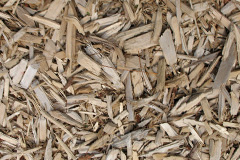 biomass boilers Tal Y Bont